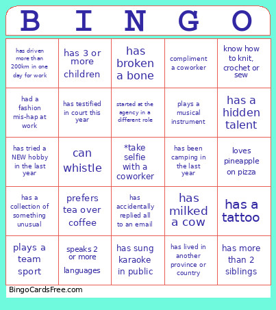 Cfsge Bingo Card