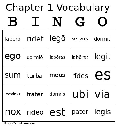 Chapter 1 Vocabulary Bingo Card