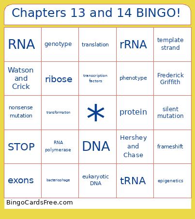 Chapters 13 And 14 ! Bingo Card 2