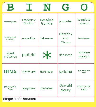 Chapters 13 And 14 ! Bingo Card