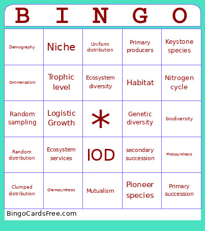 Chapters 4-6 Bingo Card