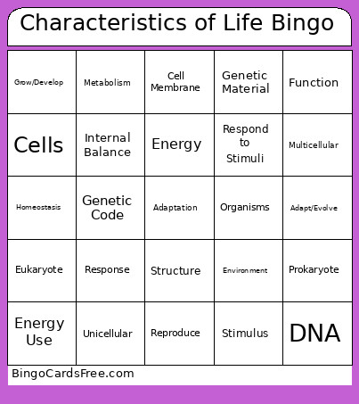 Characteristics Of Life Bingo Card