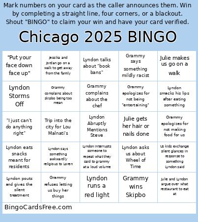 Chicago 2025 Bingo Card