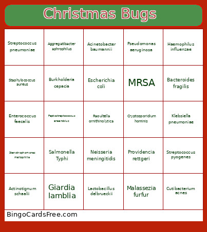 Christmas Bugs Bingo Card