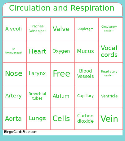 Circulatory And Respiratory Bingo Card