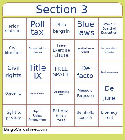 Civil Liberties And Civil Rights Bingo Card