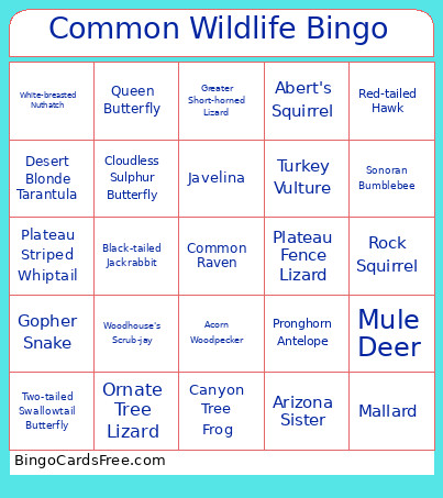 Common Wildlife Bingo Card
