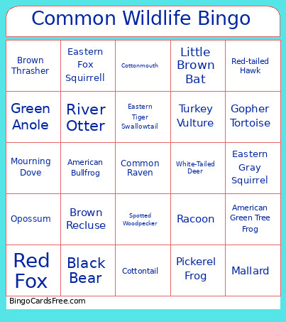 Common Wildlife Bingo Card
