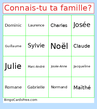 Connais-tu Ta Famille? Bingo Card
