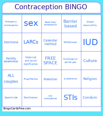 CONTRACEPTION Bingo Card
