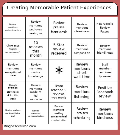 Creating Memorable Client/Patient Experiences Bingo Card