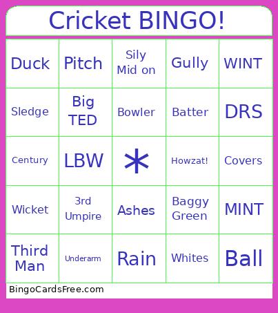 Cricket BINGO!