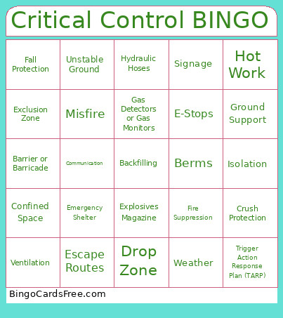 Critical Control Bingo Card