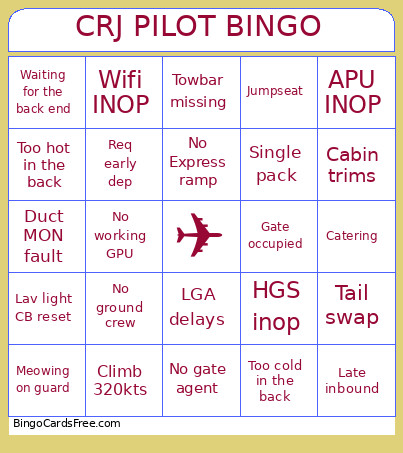 CRJ PILOT Bingo Card