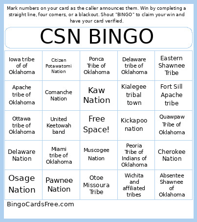 CSN Bingo Card 2