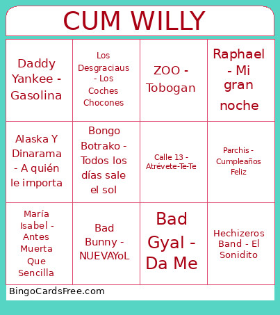 CUMPLE WILLY Bingo Card