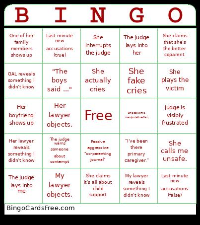 Custody Hearing Bingo Card