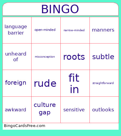Customs & Cultures Bingo Card