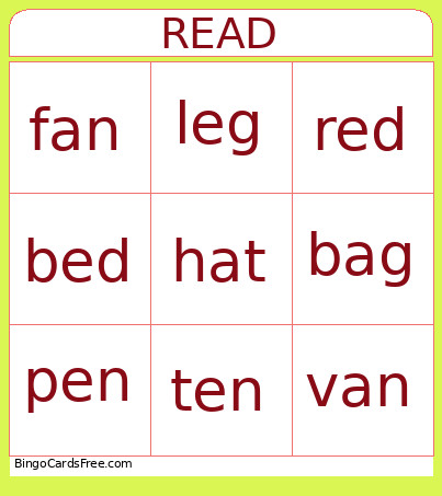 CVC Words A E Bingo Card