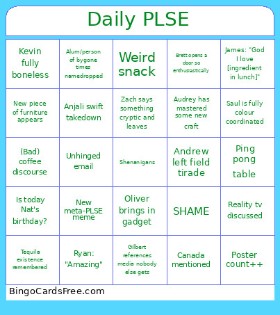 Daily PLSE Bingo Card