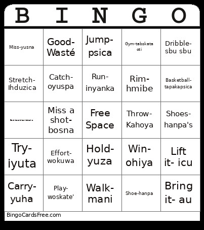 Dakota Basketball Bingo Card