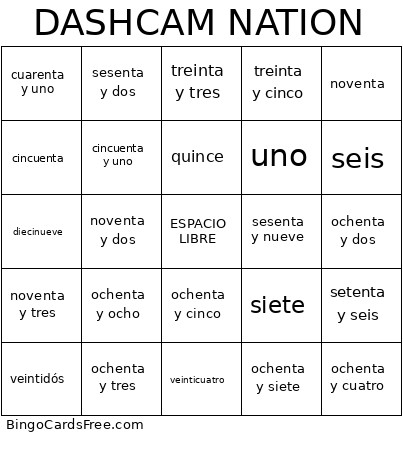 DASHCAM NATION Bingo Card
