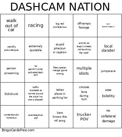 Dashcam Nation! Bingo Card