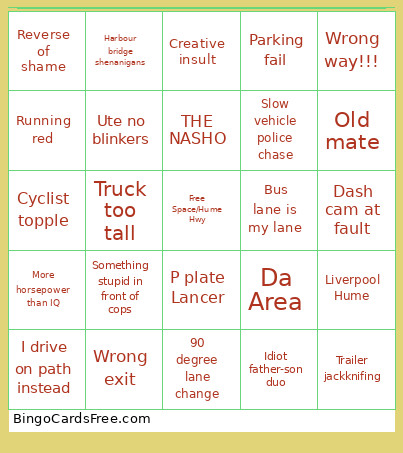 Dashcams Australia Bingo Card