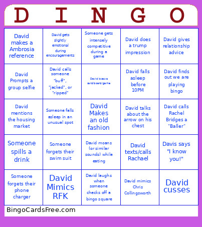 David ! Bingo Card