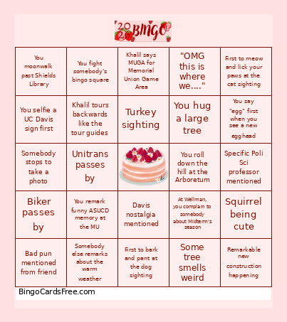 Davis Bingo Card