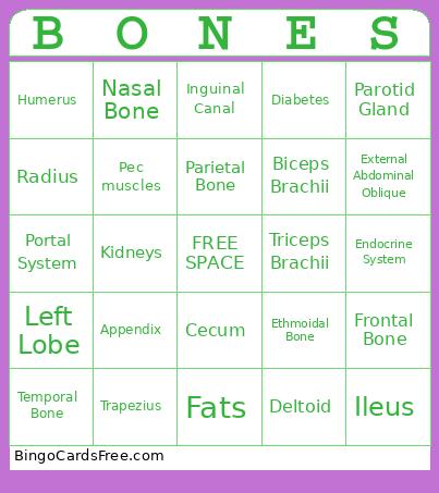 Day 2 Bingo Card