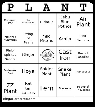DCPW 2025 Bingo Card