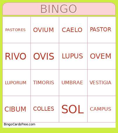 Declinaciones Bingo Card