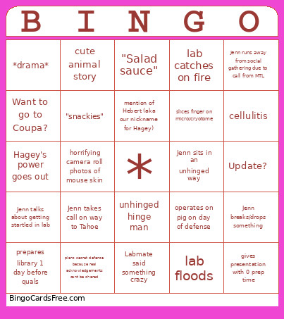 Defense Bingo Card
