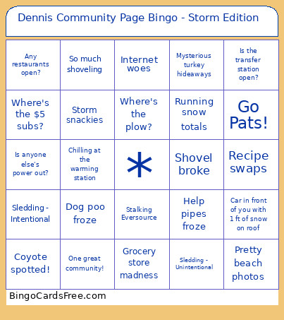 Dennis Community Page - Storm Edition Bingo Card