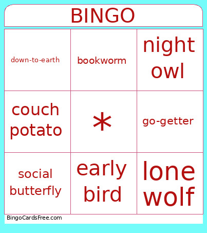 Description Idioms Bingo Card