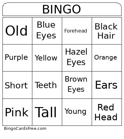 Descriptors Bingo Card