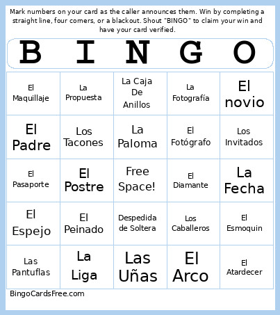 Despedida Bingo Card