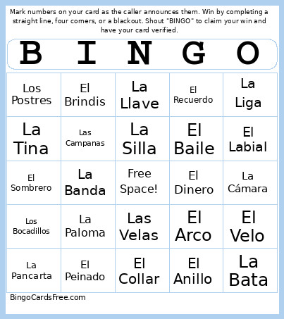 Despedida Bingo Card