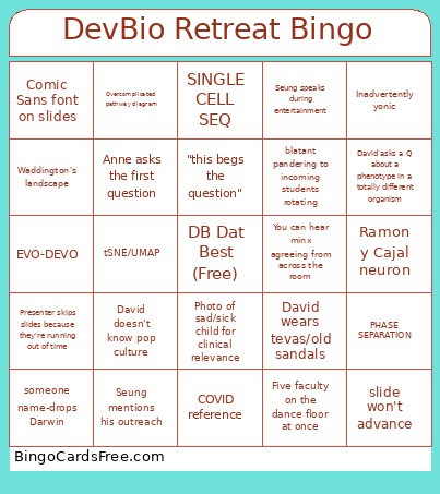 DevBio Retreat Bingo Card