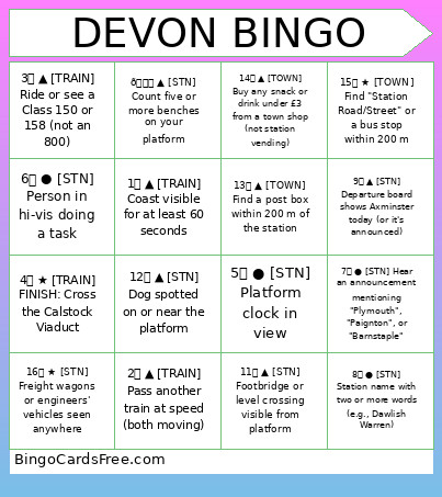 Devon Bingo Card