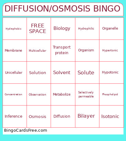 DIFFUSION/OSMOSIS Bingo Card