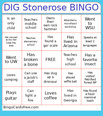 DIG Stonerose Bingo Card