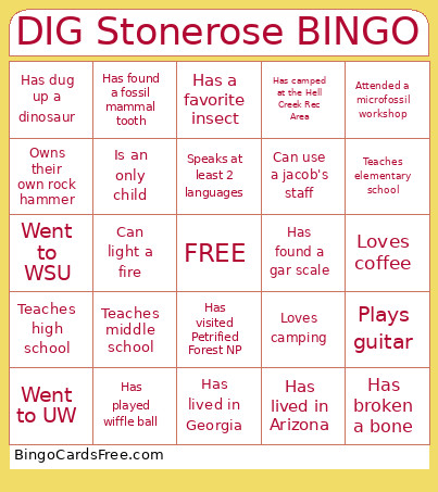 DIG Stonerose Bingo Card