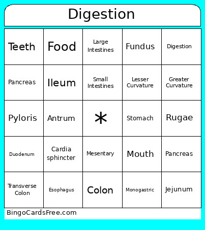 Digestion Bingo Card