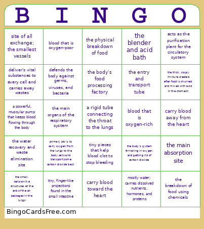 Digestive, Circulatory, And Respiratory Systems Bingo Card