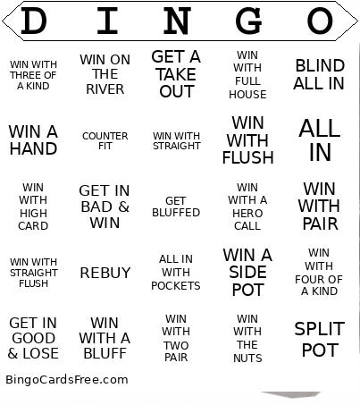 DINGO Bingo Card 4