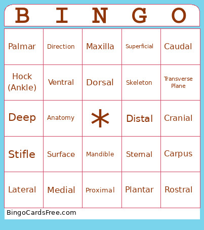 Directional Terms Bingo Card