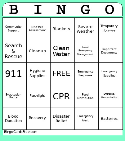 Disaster Relief Bingo Card