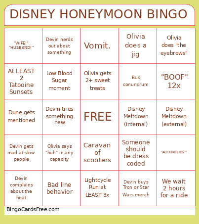 DISNEY HONEYMOON Bingo Card